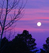17th Jan 2014 - The sun rising, the moon setting