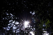 18th Jan 2014 - Mini-sunflare