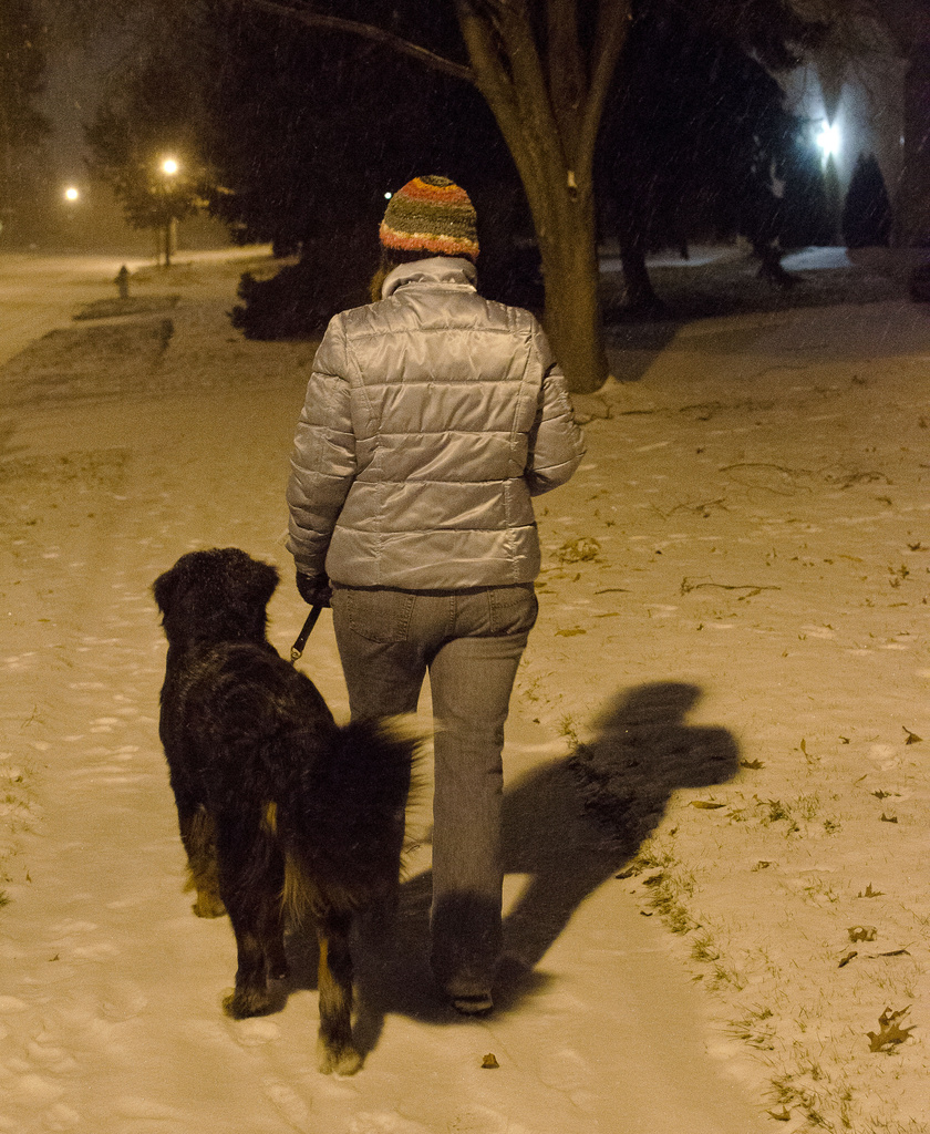 Gunnar's evening walk by ggshearron