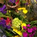 in the flower shop . . .  by wiesnerbeth