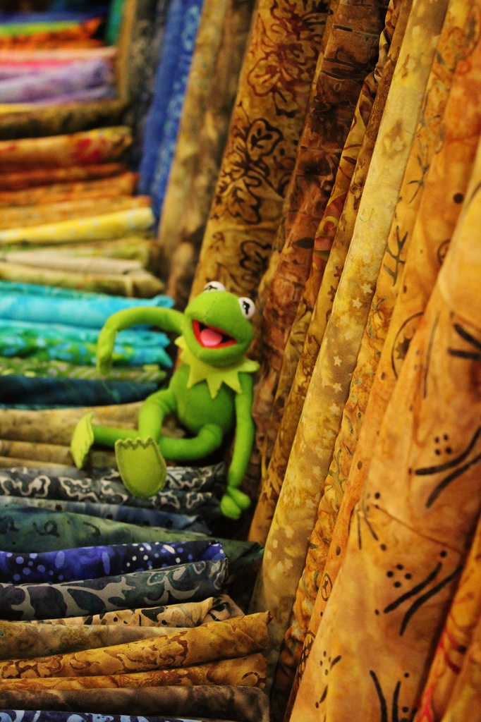 Colorful Kermie by edorreandresen