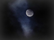 19th Jan 2014 - Wolf Moon...Waning