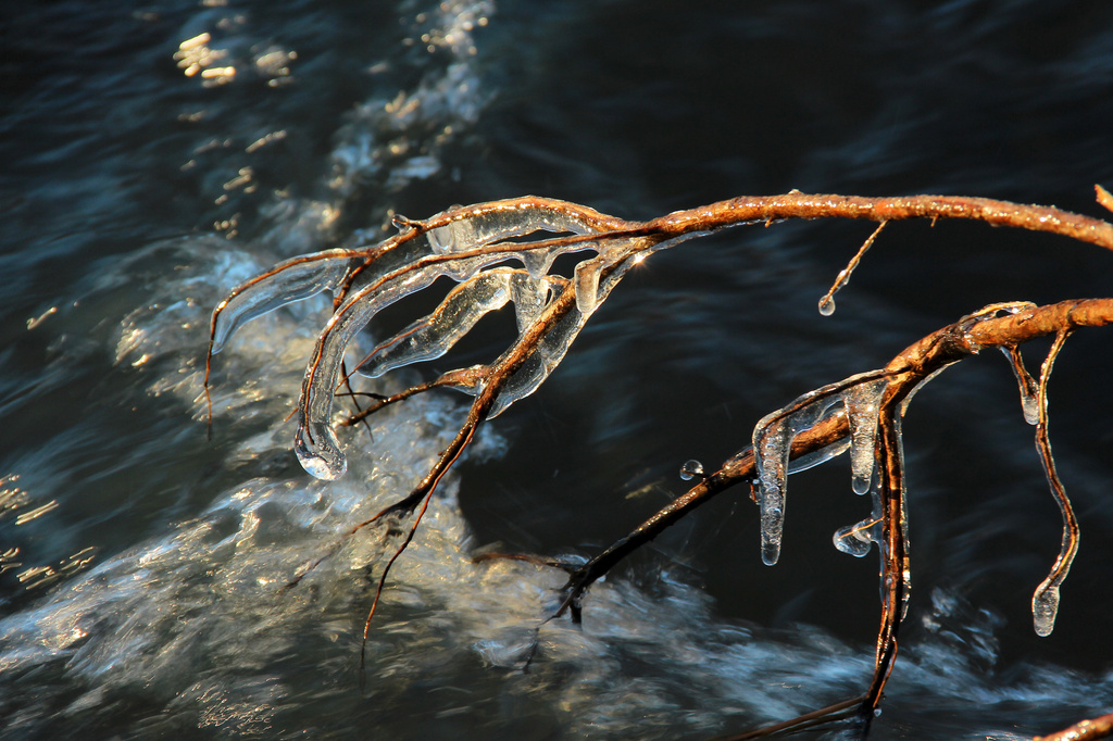 Another Icy Morning in the Creek by milaniet