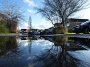 19th Jan 2014 - the 'weather' today in a 'puddle' -