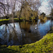 Duck pond - 19-01 by barrowlane