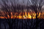 19th Jan 2014 - Sunrise over Lake
