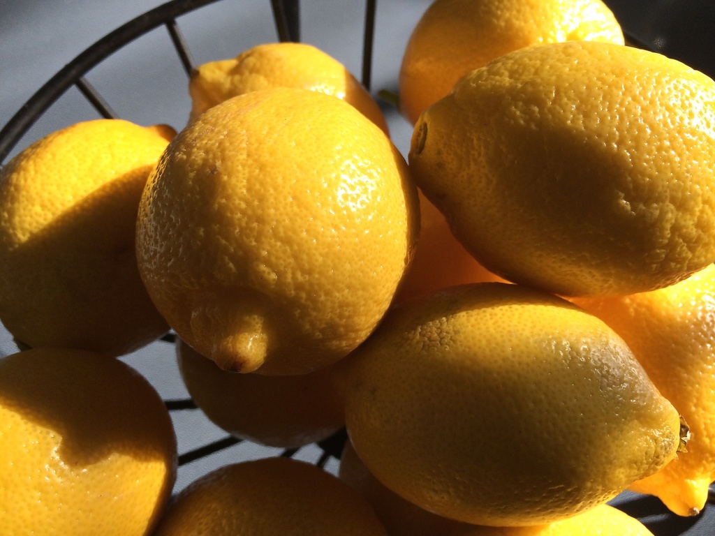 Sunlit lemons by rosiekerr