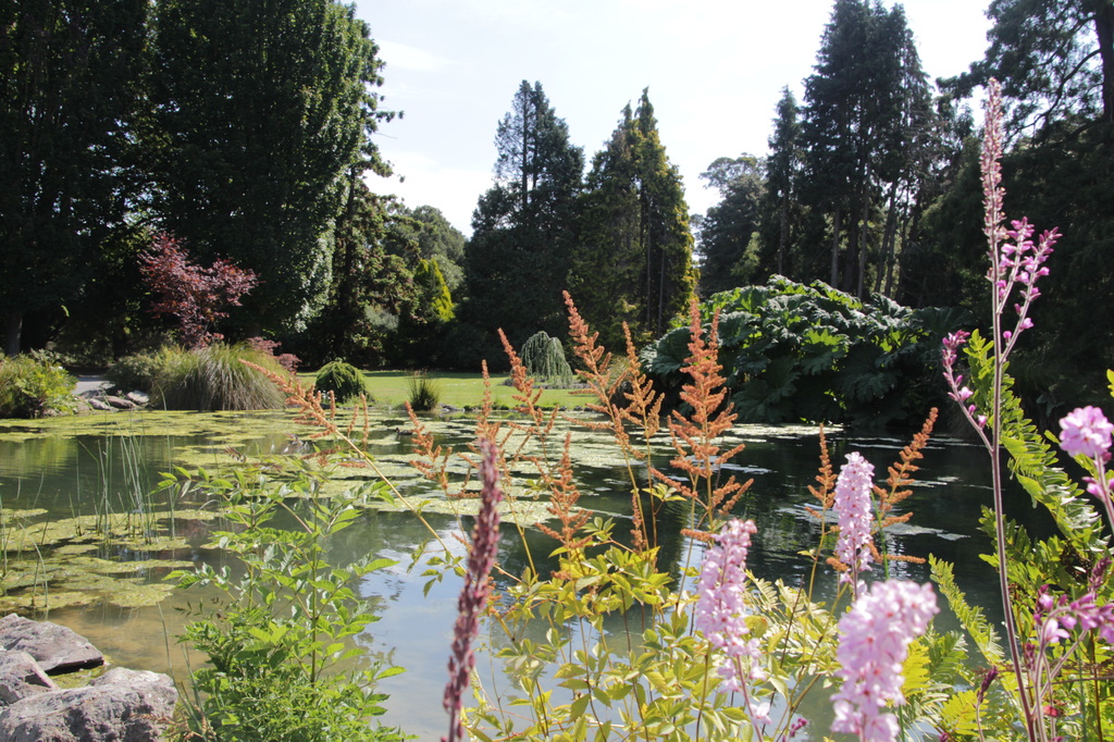 Botanical gardens Christchurch by busylady