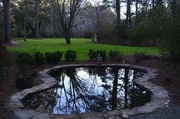 20th Jan 2014 - Reflecting pool, Magnolia Gardens