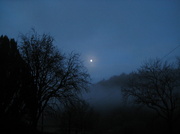 20th Jan 2014 -  Early Morning Moon
