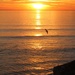 Sunset at Pismo beach by mzzhope