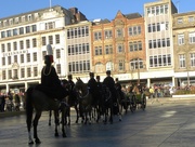 20th Jan 2014 - Royal Horse Artillery