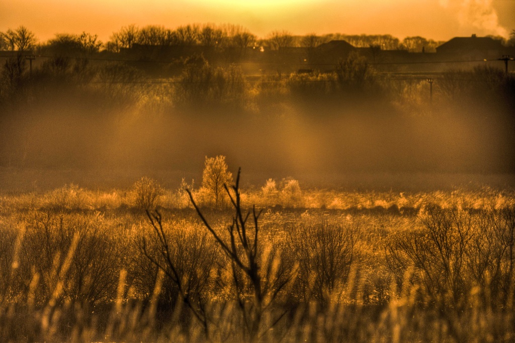 Hazy Winter Sunset. by gamelee