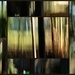 icm collage by nanderson