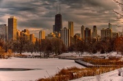 20th Jan 2014 - Winter's Golden Hour from Lincoln Park Zoo