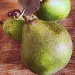pears by iiwi