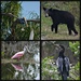 wildlife sightings by mjmaven