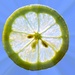 Lemon fresh by teodw