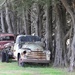Old Trucks beneath the Pines.. by tellefella