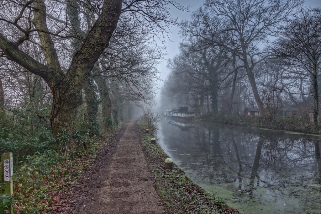 Foggy morning along the canal by mattjcuk