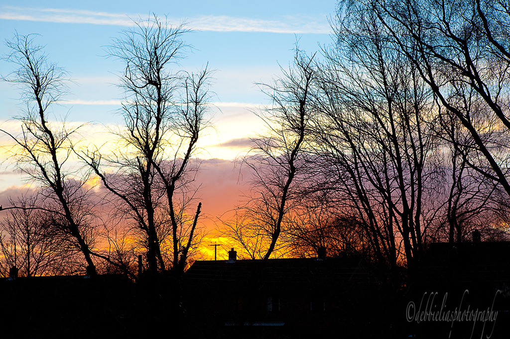 21.1.14 Flaming Sunset by stoat