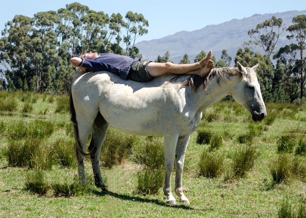 Relaxing on Horseback by salza
