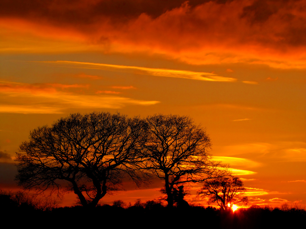 Another Norfolk Sunset by itsonlyart