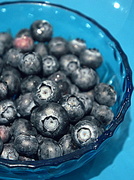 21st Jan 2014 - Blueberries