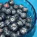 Blueberries by boxplayer
