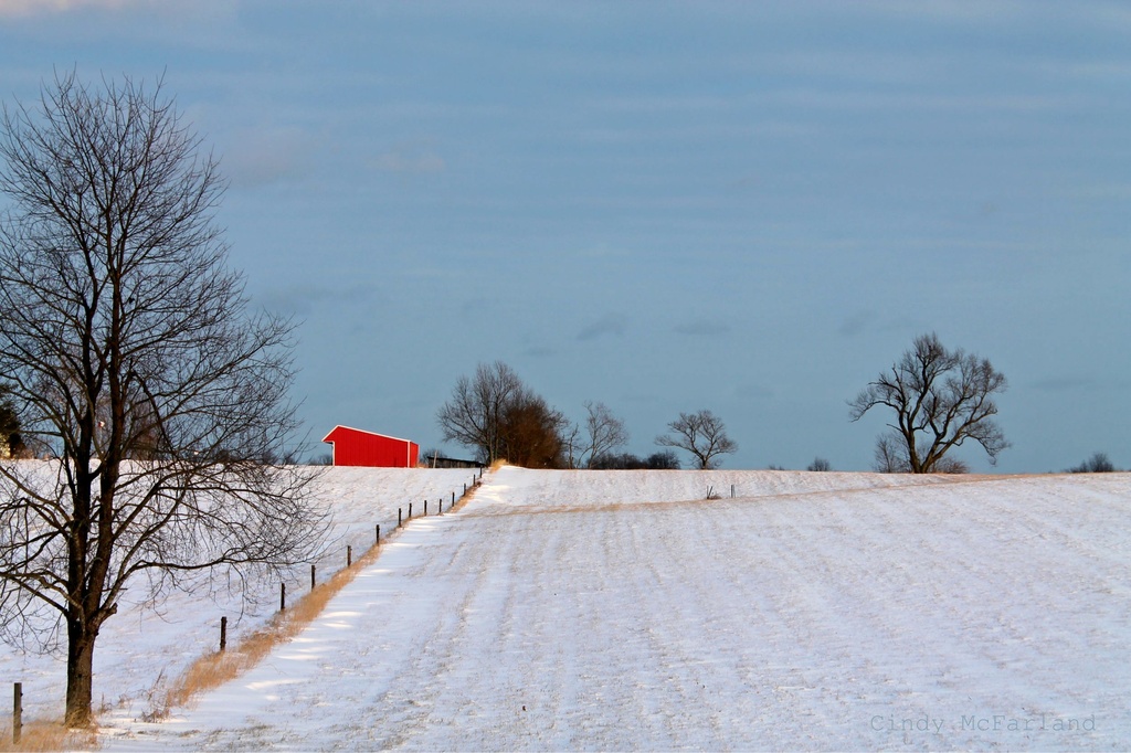 Red barn in the snow  by cindymc