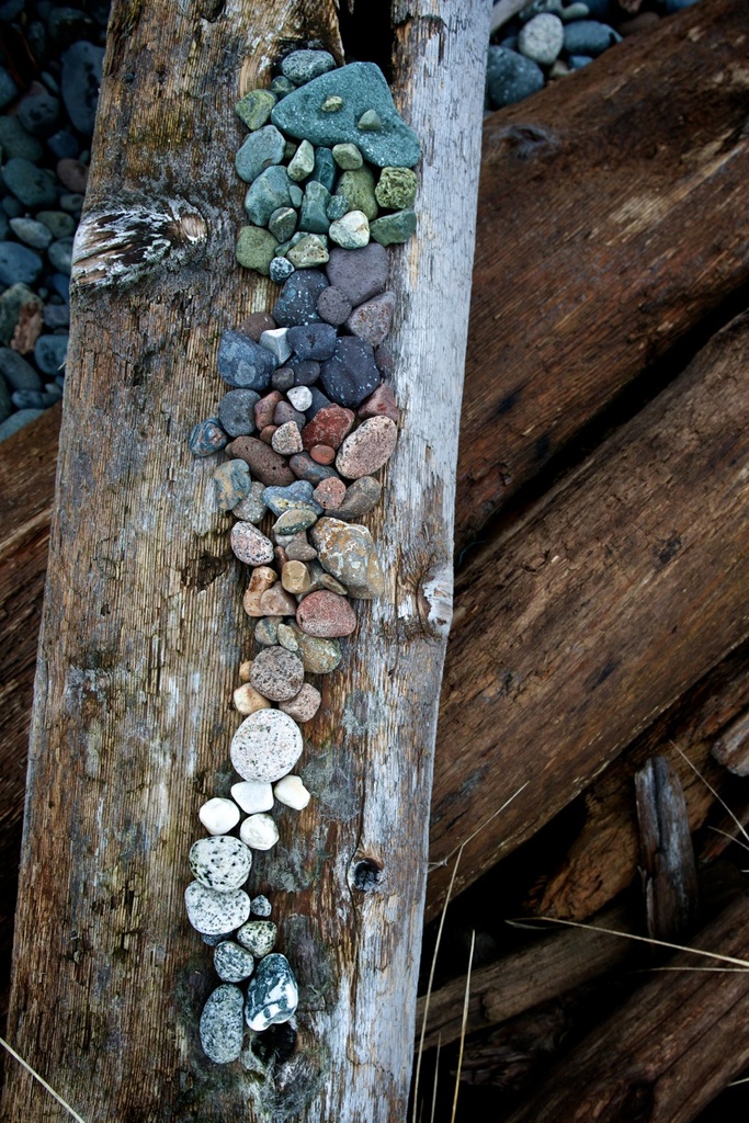 Rocks On Wood by kwind