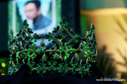 21st Jan 2014 - Miss Teen Earth Philippines Crown