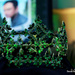 Miss Teen Earth Philippines Crown by iamdencio