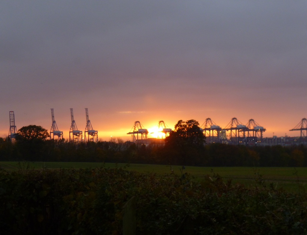 Sunset over the cranes by lellie
