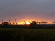 25th Nov 2013 - Sunset over the cranes