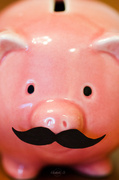 22nd Jan 2014 - Piggy with mustache