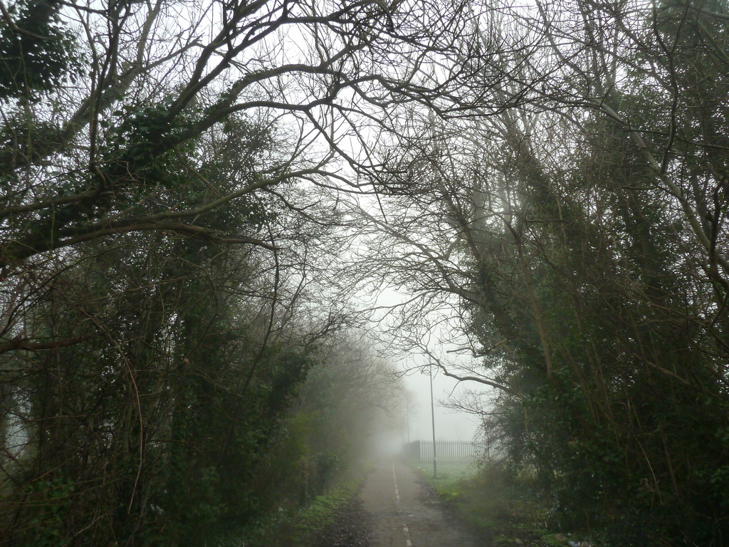 P1030151 Foggy morning walk by wendyfrost