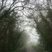 P1030151 Foggy morning walk by wendyfrost