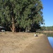 Fishing on the Murray River by leestevo