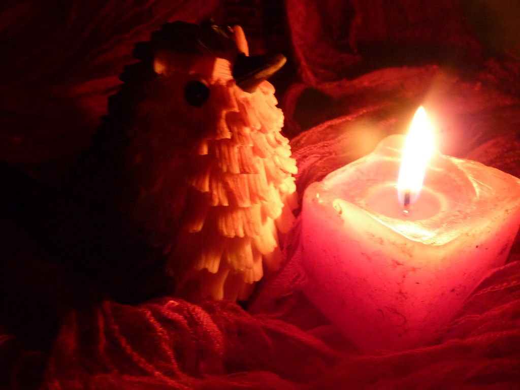   Warming myFfeathers. For todays jan. word flame/warmth.(6)wordstory.Cold robin.Finds candle.Warm again. by wendyfrost