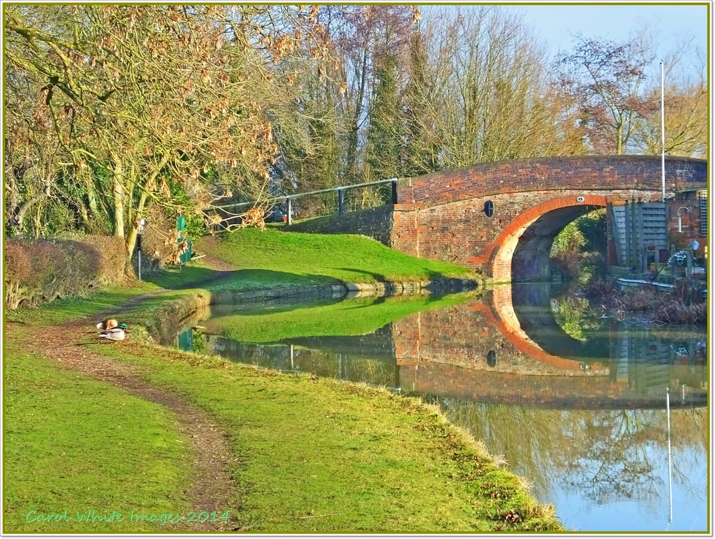 Canal Bridge And Reflections by carolmw