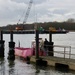 the pink ferry by quietpurplehaze