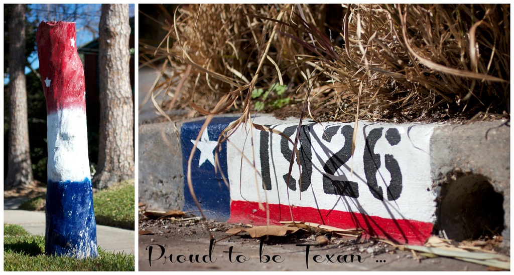 Proud to be Texan by jamibann