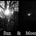 Sun & Moon through the same tree by homeschoolmom