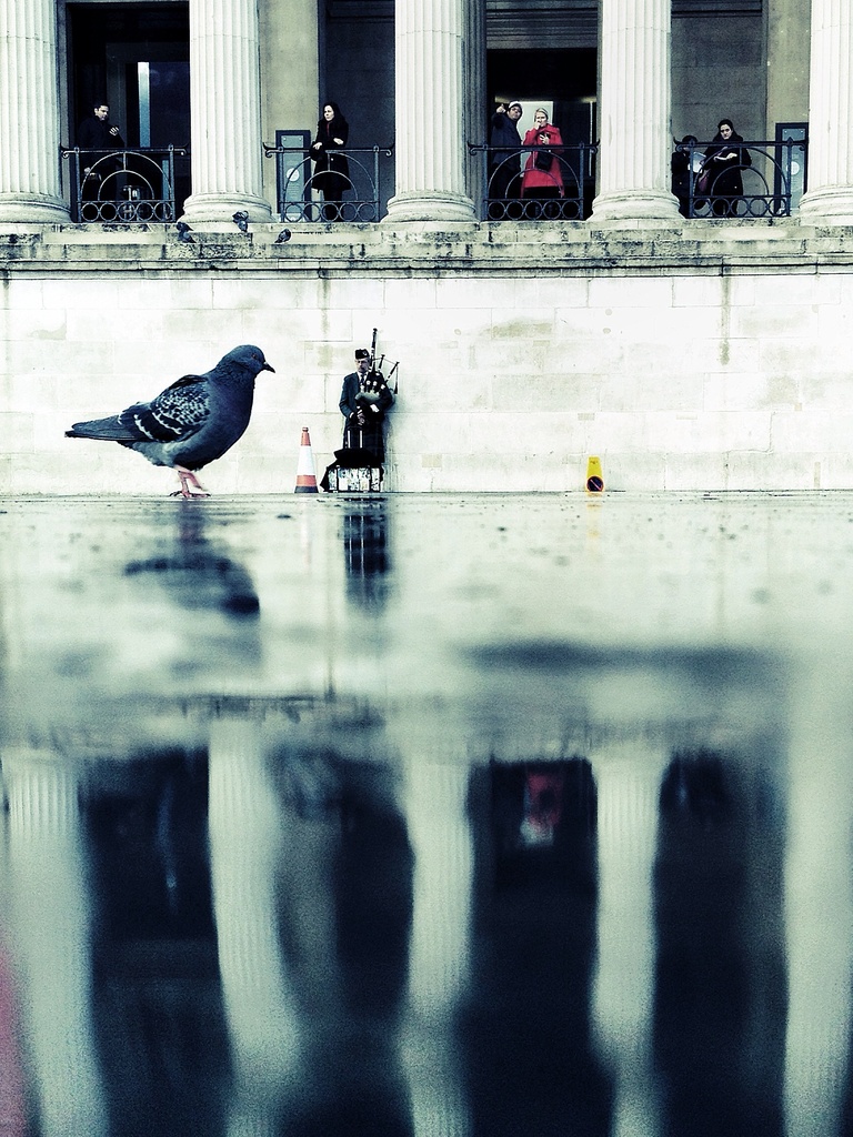 Lone Pigeon, Lone Piper by rich57