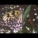 Butterflies by bizziebeeme