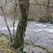 The River Irfon by susiemc