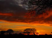 23rd Jan 2014 - Yet Another Norfolk Sunset