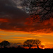 Yet Another Norfolk Sunset by itsonlyart