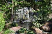 23rd Jan 2014 - Morikami Gardens waterfall